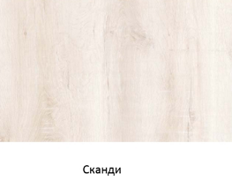 Сканди